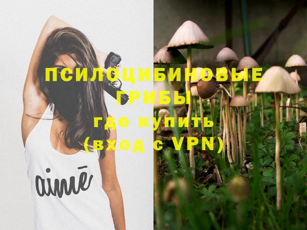 хмурый Волосово
