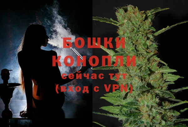 ПСИЛОЦИБИНОВЫЕ ГРИБЫ Володарск