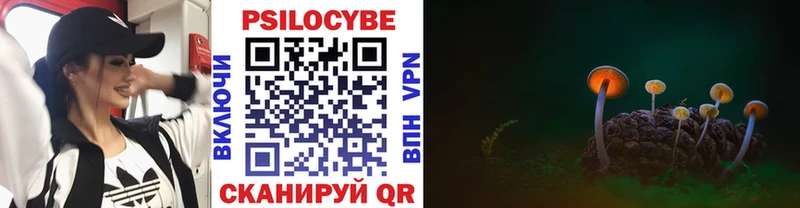 Галлюциногенные грибы Cubensis  Жирновск 